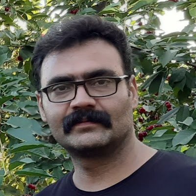 fariborzalvandi's profile picture. My son my life . Persian art, miniature @NFT manufacturer