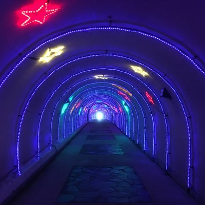 アポロ