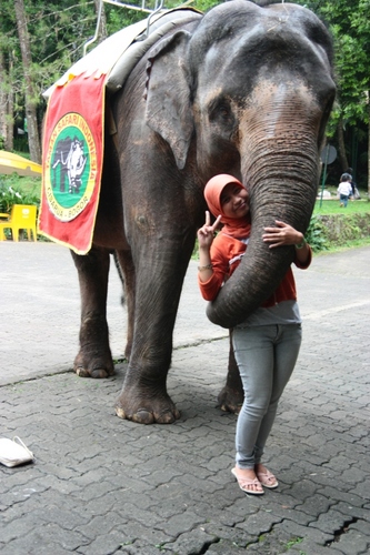 Zun_nidZ Profile Picture