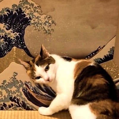 languid_cat's profile picture. 推し事、食べ物、動植物のツイート中心💃🥙🐱🐞🥝
DMへの返信はしておりません🤚