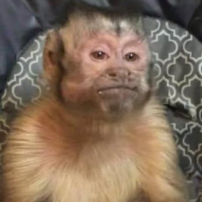 inter_conex's profile picture. Internet