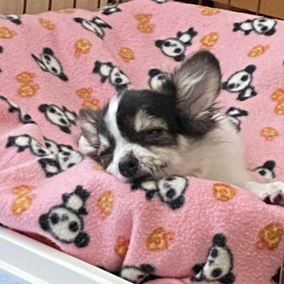 62MIRIC's profile picture. 