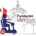 Fundación Lily's Tours A.C. (@LilysTours_) Twitter profile photo