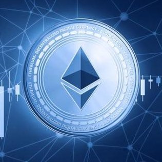 bullseum's profile picture. #NFT