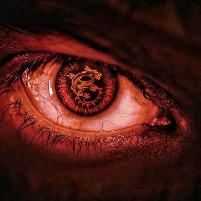 _lonely_pheonix's profile picture. Cyber security enthusiast