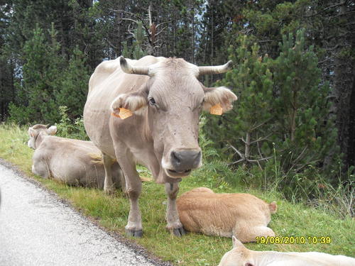 lnmtchll's profile picture. Training never gets easier, you just get faster.