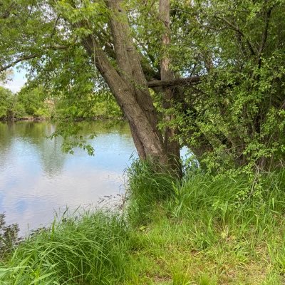 Stillpond961's profile picture. 
