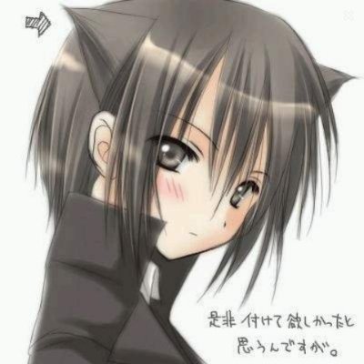 風羽魂さんのプロフィール画像