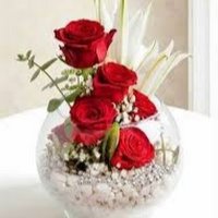 Parmjeet Kaur (@parmjee08146681) 's Twitter Profile Photo