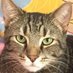 Geldart Blackford (@lgs547geldart) Twitter profile photo Geldart Blackford (@lgs547geldart) Twitter profile photo