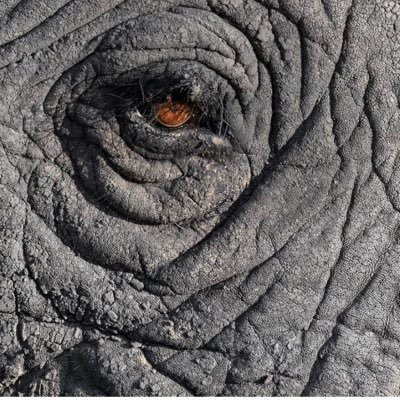 Escuchar, aprender, involucrarme cuando esté https://t.co/fxJViR0dTo juventud debe tomar las riendas,con carácter.Biofílico,caminar .Suma aversión al pendejo