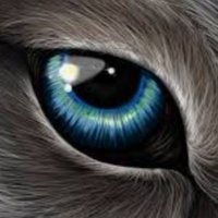 wolfseye1(@wolfseye12) 's Twitter Profileg