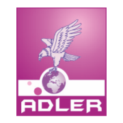 Adler Talent Solutions Pvt. Ltd. is basically Provide Human Resource services. We Specialize in Recruitment Solutions, Temp Staffing, Payroll solutions, etc.