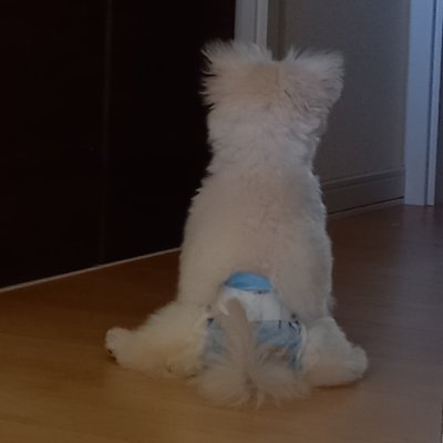 monachi0502ys06's profile picture. 