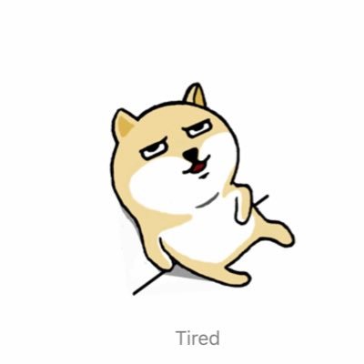 inuinuuinu's profile picture. 91🌸/2021夏💍/2022夏💒/2023冬👶🎀/2025秋〜東側🇩🇪🎄