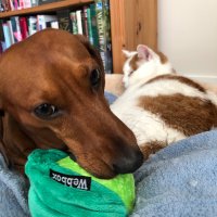 Kasia (@life_learner23) 's Twitter Profile Photo