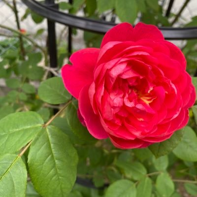 iooGBppQAekDtT2's profile picture. 