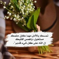 kamal ebrahem (@alsaftykamal) 's Twitter Profile Photo