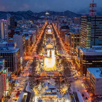 VandolphDu's profile picture. #Bitcoin #NFT