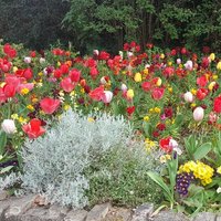 Holywell Residents • Dundrum Dublin 14 (@holywellresd14) 's Twitter Profile Photo