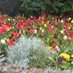 Holywell Residents • Dundrum Dublin 14 (@holywellresd14) Twitter profile photo Holywell Residents • Dundrum Dublin 14 (@holywellresd14) Twitter profile photo