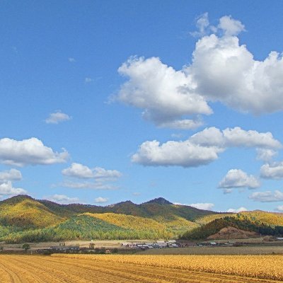 zyqzry's profile picture. 有想法