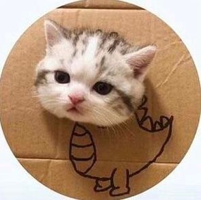 Nishaka_96's profile picture. ❄