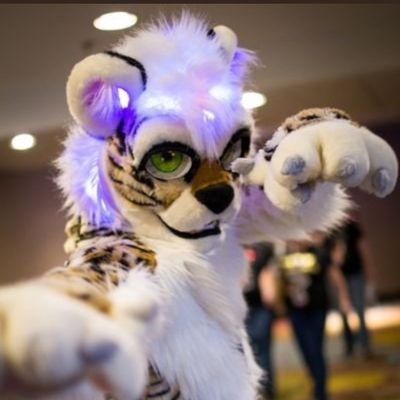 Zenithさんのプロフィール画像