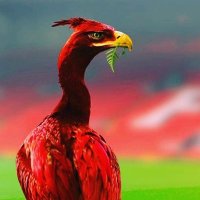 Liverbird 🇩🇪💙 (@mg_ynwa) 's Twitter Profile
