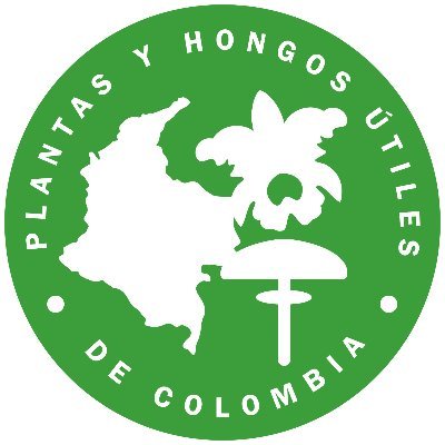 Cuenta oficial del proyecto UPFC por @KewScience & @inst_humboldt. 🌱🍄Comprender y promover el uso sostenible de las plantas y hongos útiles de Colombia 🇨🇴