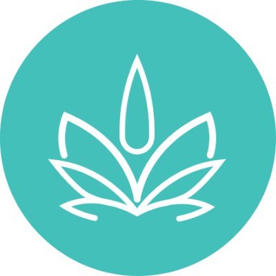 GRAMSS is an advanced platform for cannabis consumers, providing a full eco-system to consume wisely by scaling, tracking & customizing the cannabis experince