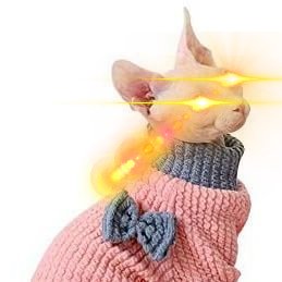 pouet pouet