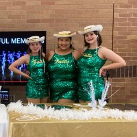 Cy Falls Sky Dancers (@cfhs_skydancers) 's Twitter Profile
