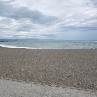 Kolo65329421's profile picture. 