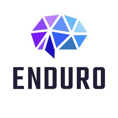 EnduroCreative's profile picture. eLearning Content Development: Master of Articulate 360, Lectora Inspire, Adobe Captivate and experienced in many others.