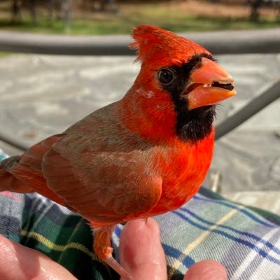 Overlook1956's profile picture. 