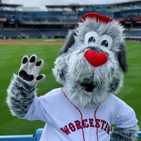 Woofster (@woosoxwoofster) 's Twitter Profile Photo Woofster (@woosoxwoofster) 's Twitter Profile Photo