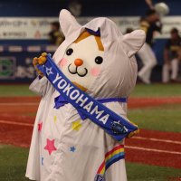 きいこ (@qwrd5iehdhdgmnt) 's Twitter Profile Photo きいこ (@qwrd5iehdhdgmnt) 's Twitter Profile Photo