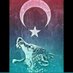 Vedat_göktürk_ (@vedatyi66137901) Twitter profile photo