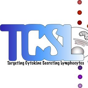 Passionate about immunology; curious to discover new functions of CD4 T cells and ILCs; hoping to improve current immuno therapies