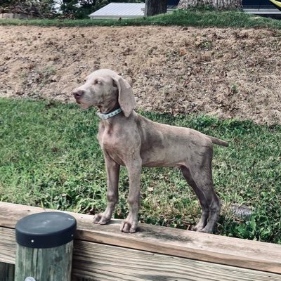 Qmchugh22's profile picture. 