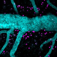Prat Lab (@pratlab) 's Twitter Profile