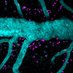 Prat Lab (@pratlab) Twitter profile photo Prat Lab (@pratlab) Twitter profile photo