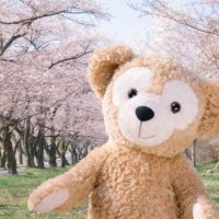 Enjoy!!シャロ勉前進中 (@enjoy230827_24) 's Twitter Profile