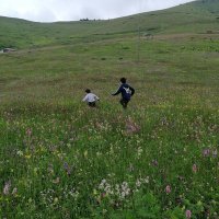 Pınar (@_pppp_e) 's Twitter Profile