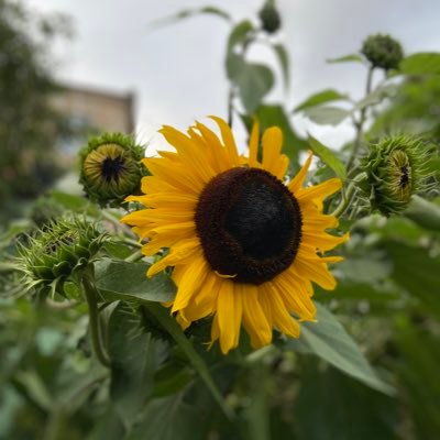 ...tuvu sirdij, bet tālu no Rīgas...