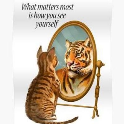 Financial Analyst//Optimist//Believer//a CAT is just a TIGER, time will tell!