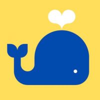 Observers App (@observersapp) 's Twitter Profile