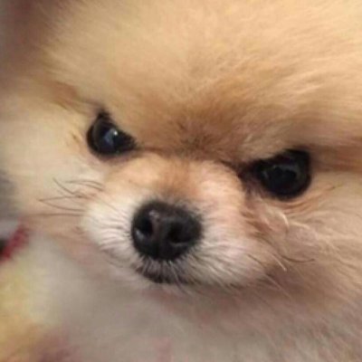 xyrma0_o's profile picture. Люблю общения и игры