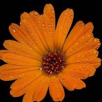 Sarikacatherine's profile picture. 